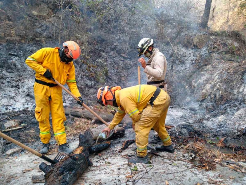 Queda controlado incendio en Nuevo León