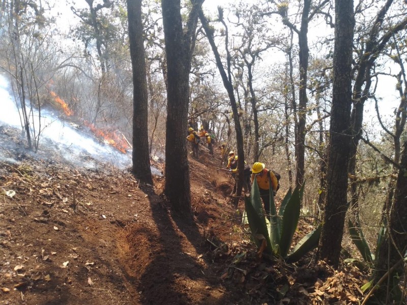 Quedan dos incendios forestales activos en Veracruz