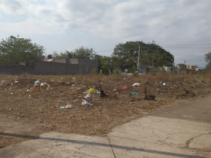Quejas sobre recolección de basura en Buenavista