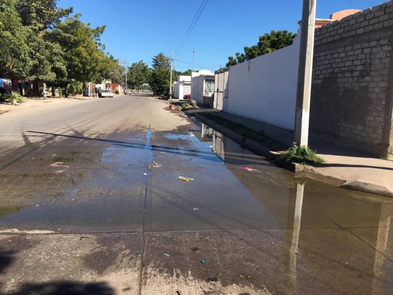 Quejas por aguas negras en Las Canteras