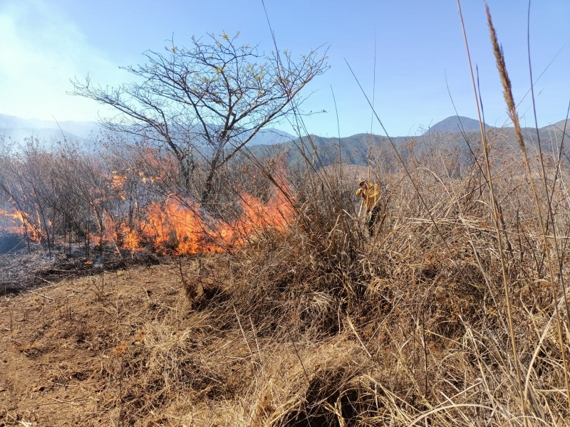 Quema agrícola provocó incendio en Altas Montañas: Gobernador