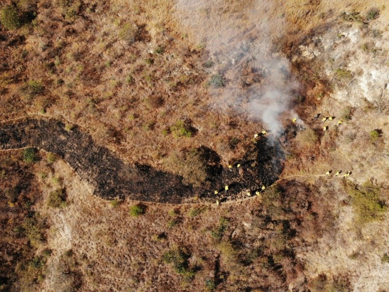Quema controlada para prevenir incendios en Monte Albán