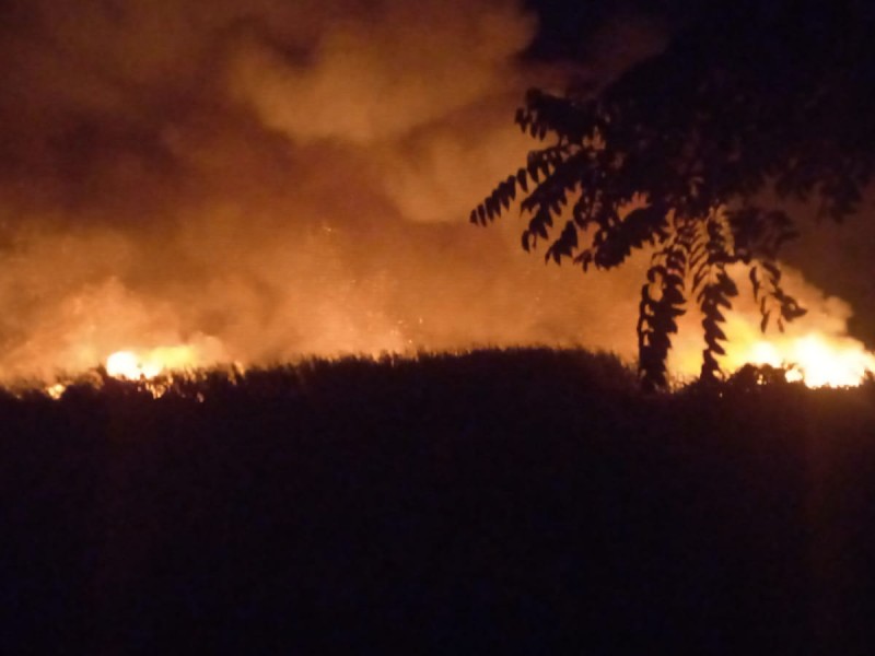 Quema de basura se sale de control y provoca incendio