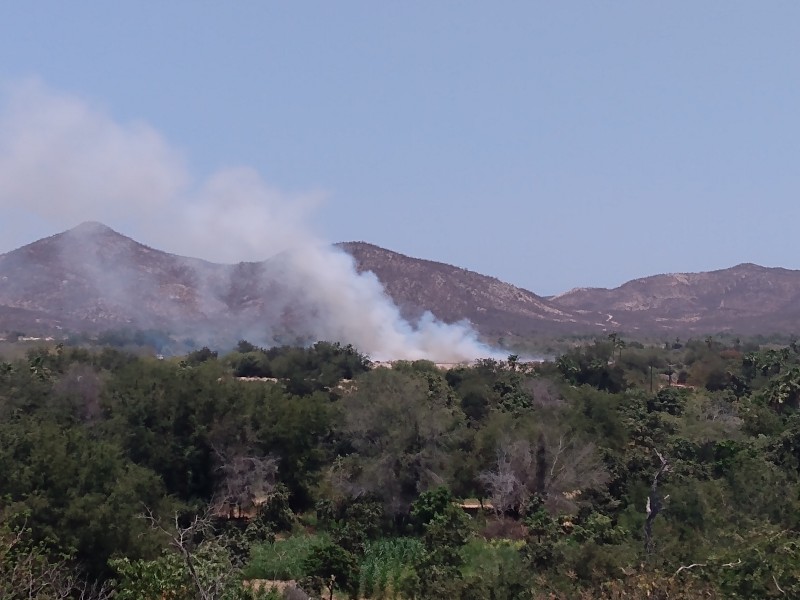 Quema de pastizales en huertas de San José del Cabo