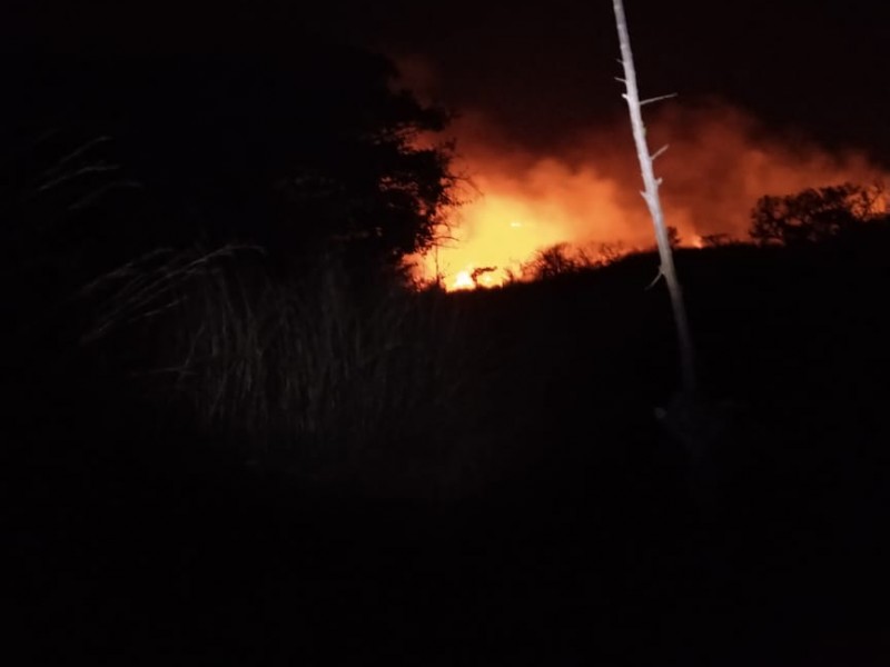 Suman cerca de 2 mil hectáreas afectadas por quemas