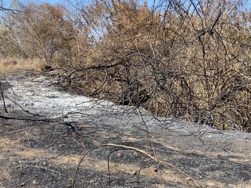 Quema de terrenos provoca incendio en Parque Estatal El Limón