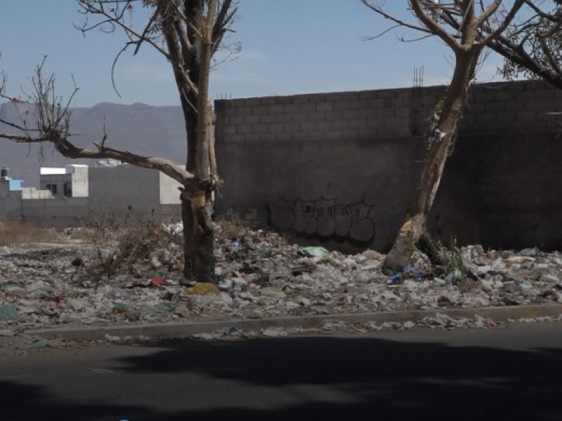 Queman basura de tiraderos en Camino Viejo