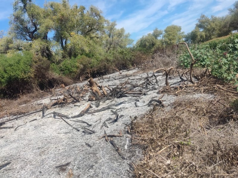 Queman reserva ecológica de La Uba, dueño no acepta forestación