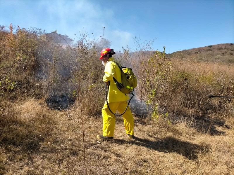 Quemas agrícolas no controladas incrementan incendios forestales en Tangancícuaro