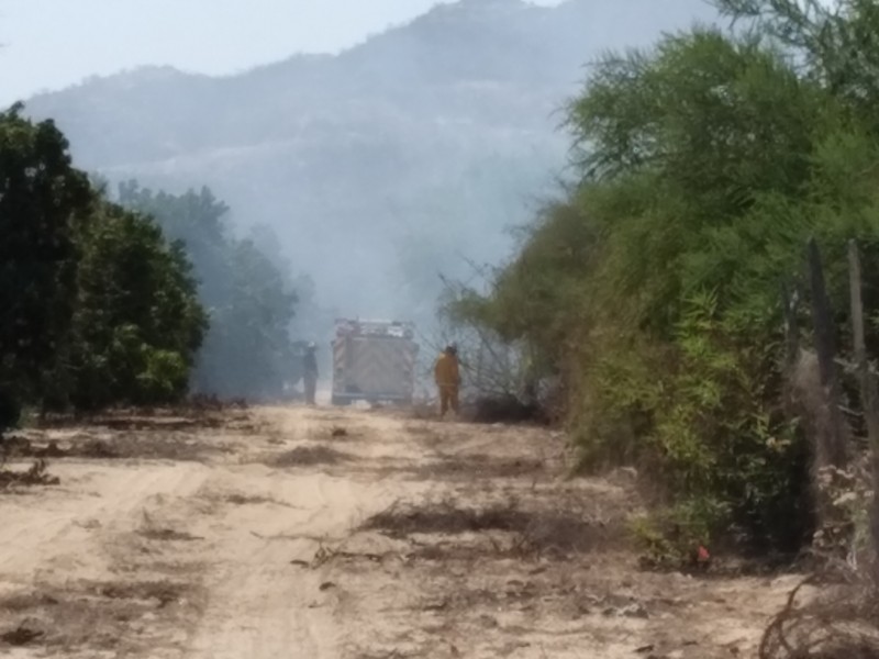 Quemas clandestinas nuevamente se salen de control