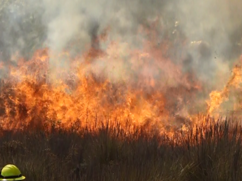 Quemas controladas evitan incendios forestales