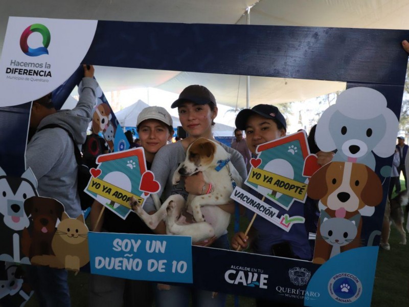 Querétaro destaca en cultura de esterilización de mascotas