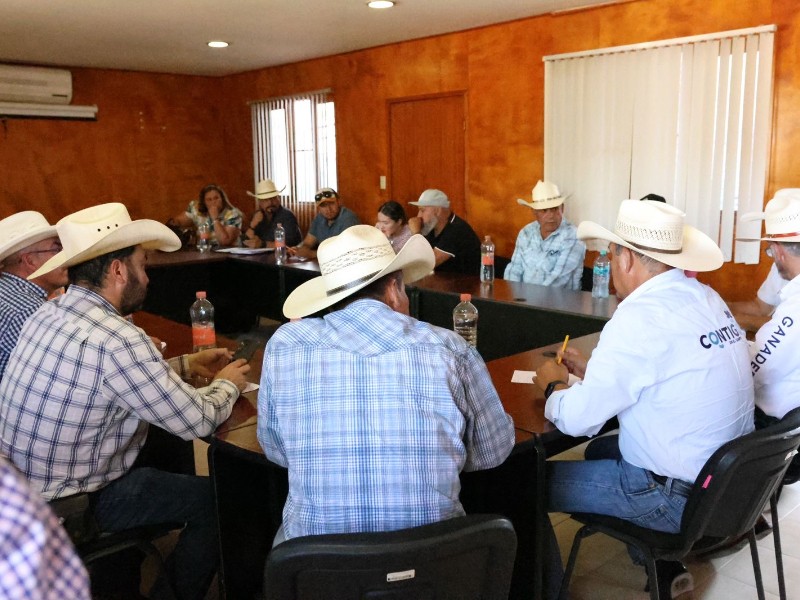 Querétaro observante ante la plaga de gusano barrenador