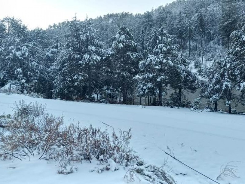 Quinta tormenta invernal genera nieve en zonas serranas de Durango