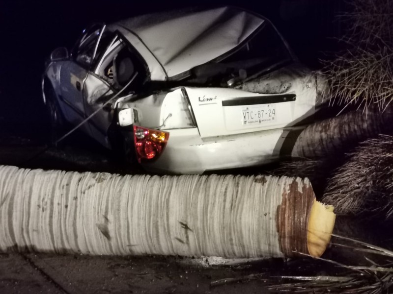 Ráfagas de viento dejan daños y derrumbe de árboles