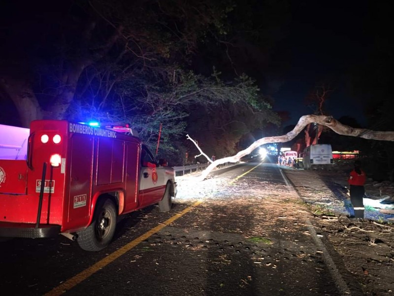 Rama bloque la carretera cerca de El Cóbano