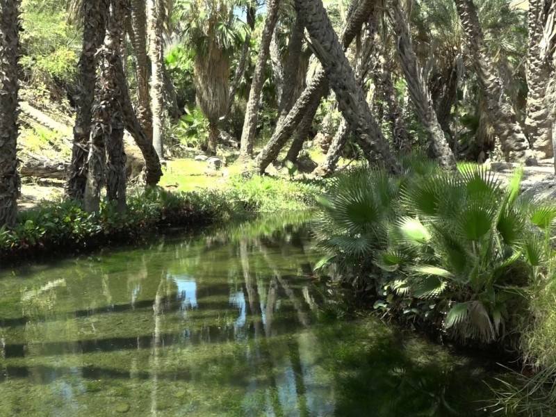 Rancho Las Parras, un oasis en el medio del desierto