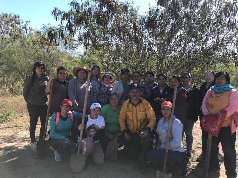 Rastreadoras realizan cuarta búsqueda en Guasave