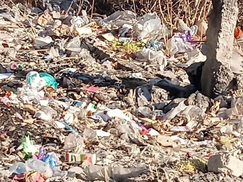 Rastro clandestino genera tiradero de plumas y vísceras