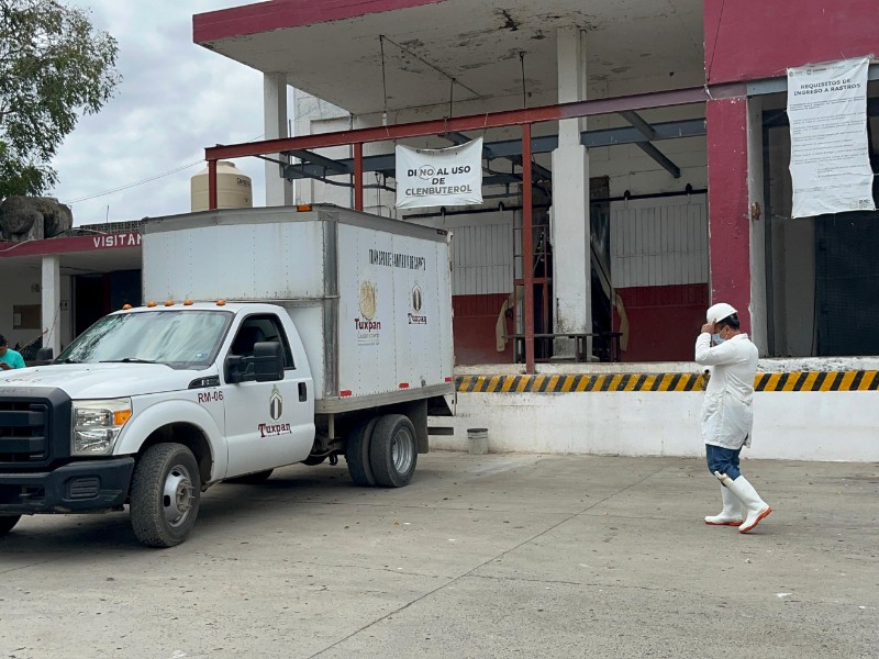 Rastro municipal reporta leve aumento por Día de Muertos Rastro municipal reporta leve aumento por Día de Muertos