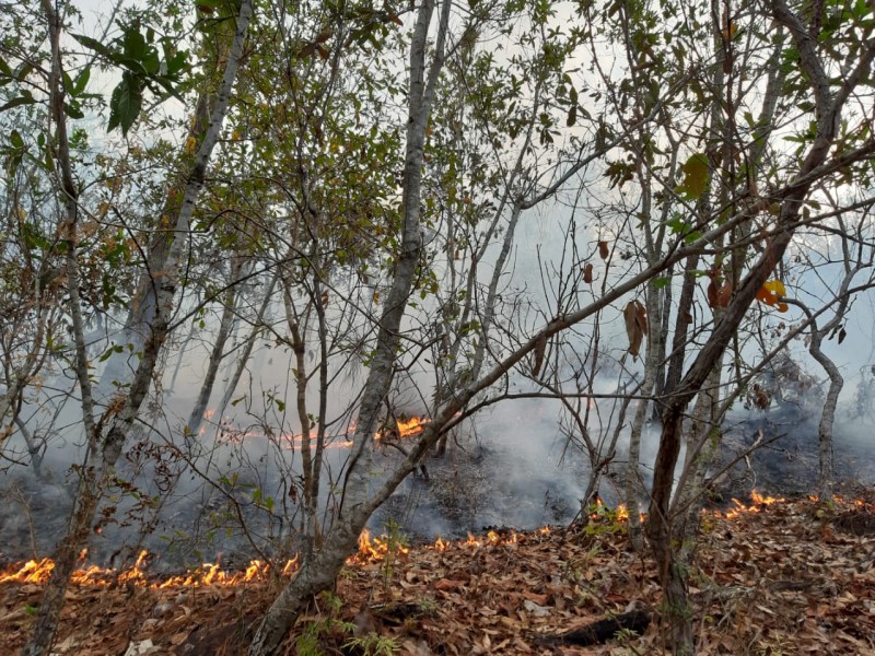 Rastros de destrucción por incendios