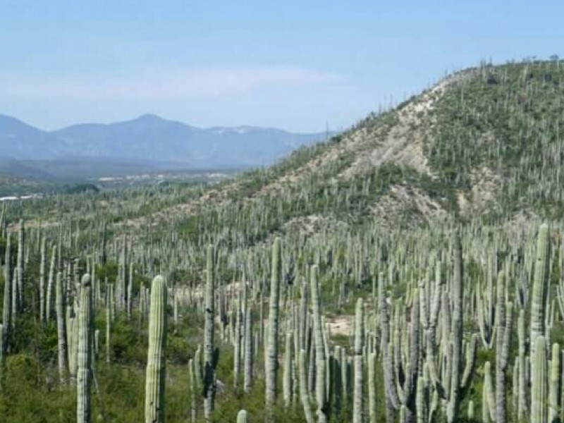 RBTC cumple 20 años de área natural protegida