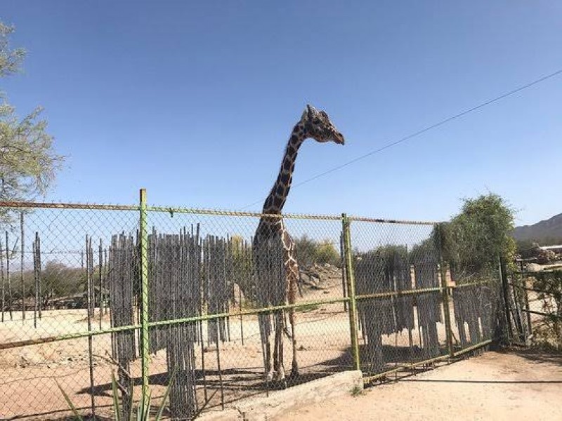 Reabren al público el Centro Ecológico de Sonora