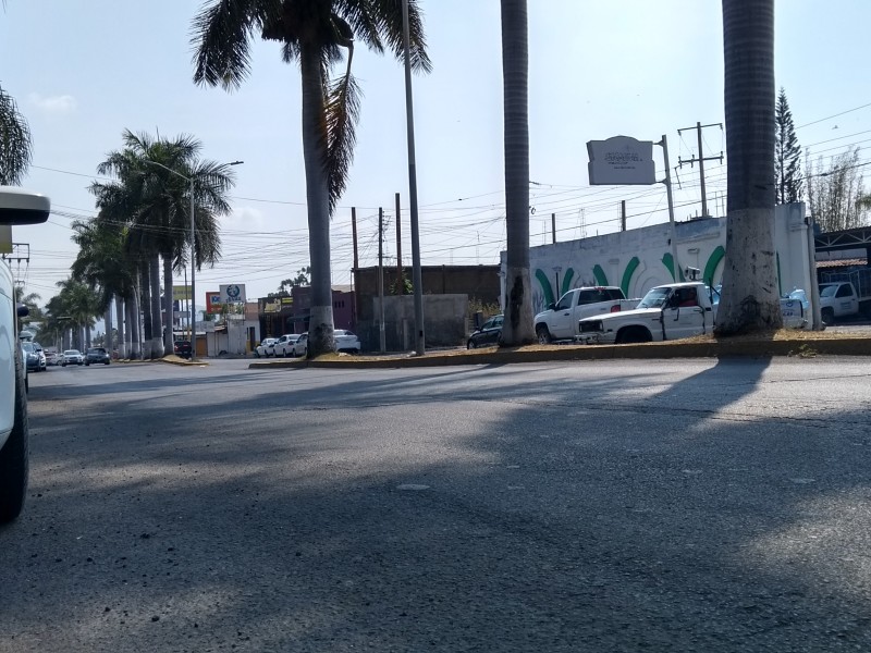 Reacciones positivas a nuevo proyecto de avenida Jacarandas