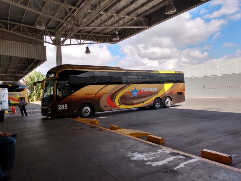 Reactivan corrida de autobuses en Sinaloa