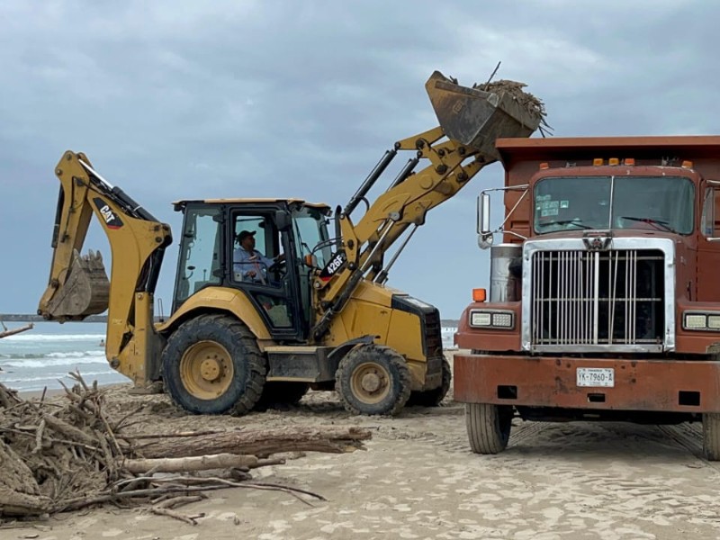 Reactivan limpieza de palizada en playas de Tuxpan