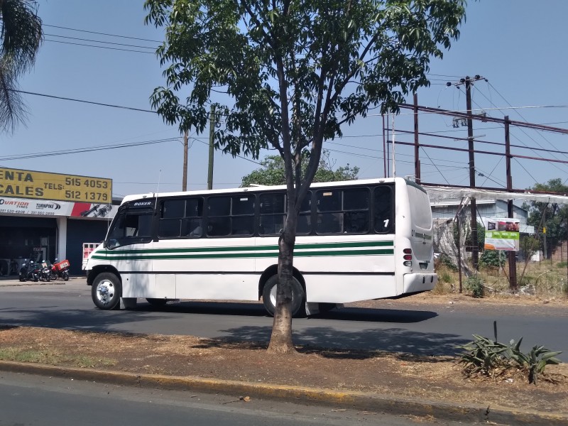 Reactivarán servicio de rutas de transporte público