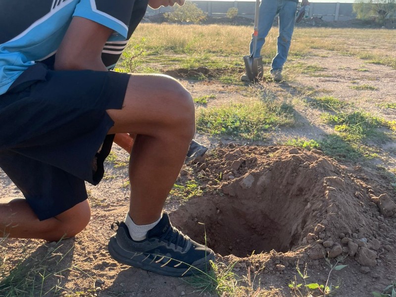 Realiza acciones de reforestación en Sonora