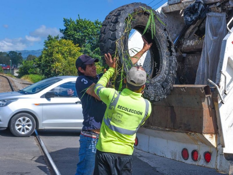 Realiza Ayuntamiento trabajos de descacharrización