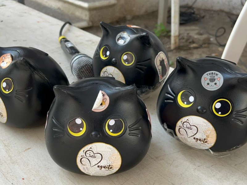 Realizan campaña “Michitón” en Tuxpan