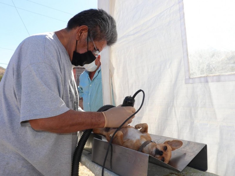 Realiza Centro antirrábico jornada de vacunación y esterilización de mascotas