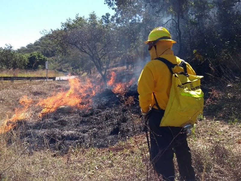 Realiza CONAFOR trabajos preventivos contra incendios