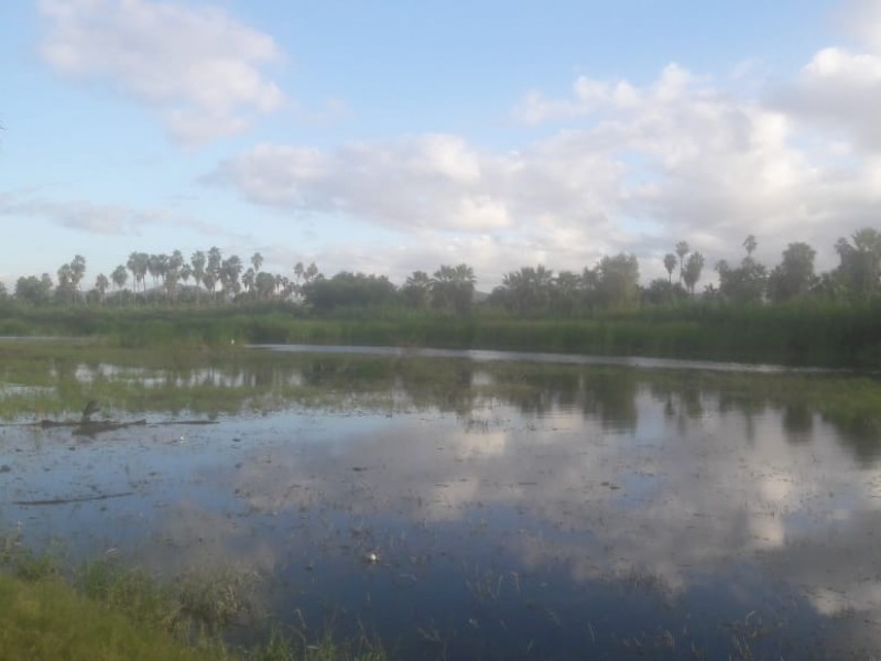 Realiza ecologia campaña de limpieza en inmediaciones del estereo