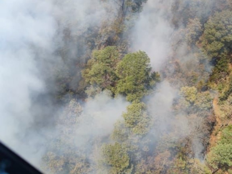 Realiza labores aéreas para sofocar incendio en Cerro Prieto