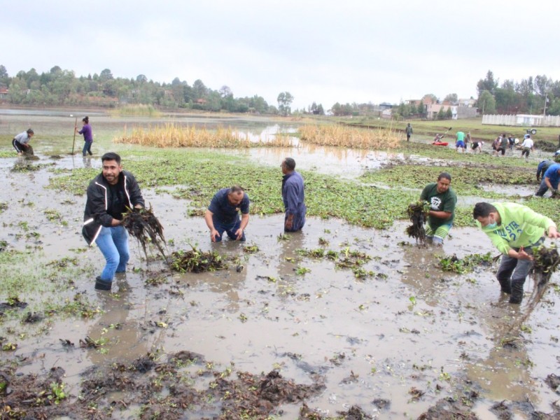 Realiza limpieza en Laguna de San José de las Torres