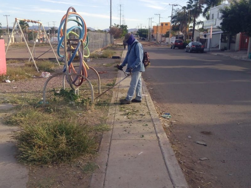 Realiza personal de rutas urbanas, limpieza en el bulevar Las Torres