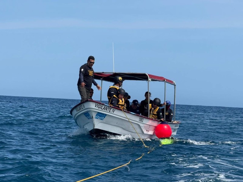 Realiza RABEN dos rescates de ballenas; piden a población esperar por avistamiento