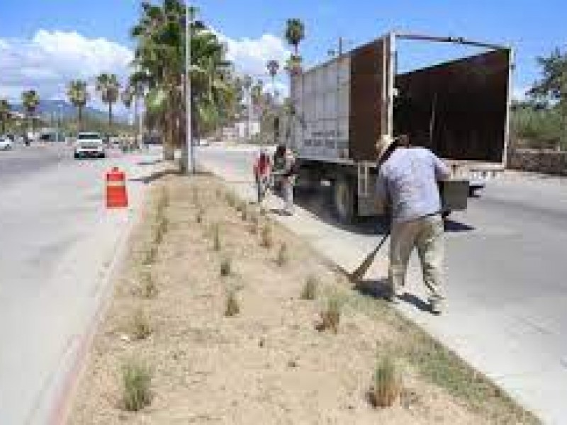 Realiza servicios públicos limpieza de camellones