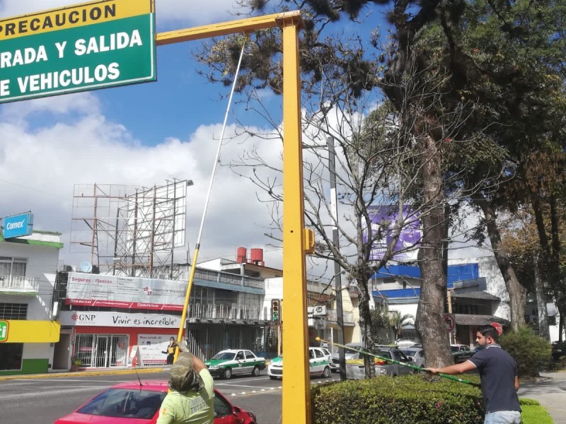Realiza Tránsito mantenimiento al sistema de semaforización en Xalapa