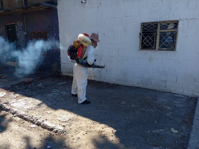 Realizan acciones contra mosquitos y garrapatas en Torreón