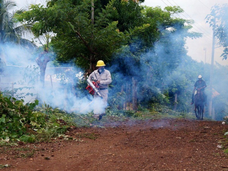 Realizan acciones de fumigación en Veracruz