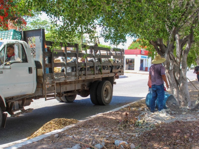 Realizan actividades de limpieza en plazas