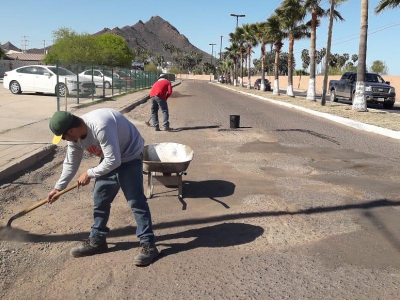 Realizan bacheo en bulevar Luis Encinas