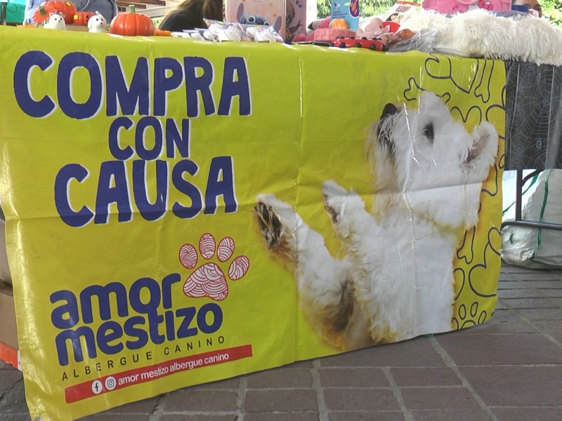 Realizan bazar en apoyo a seres sintientes víctimas de maltrato y abandono