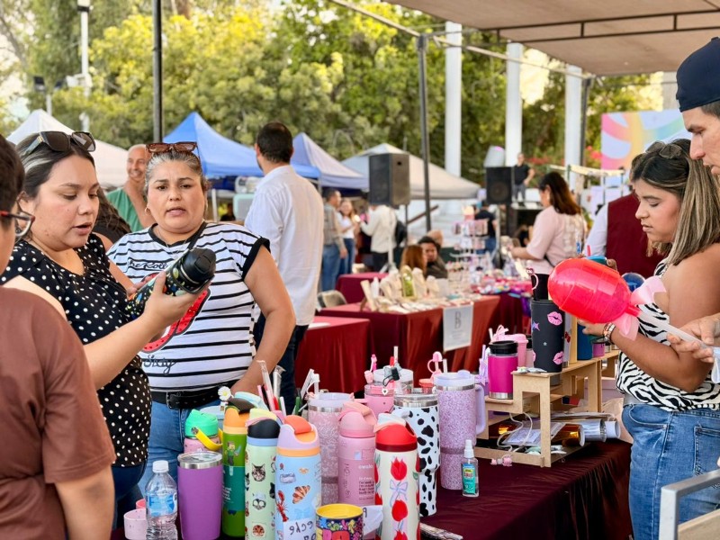 Realizan con éxito la Feria de Empleo y Emprendimiento para las Mujeres ...