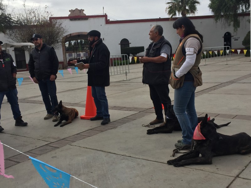 Realizan concurso y exposición canina en Guadalupe